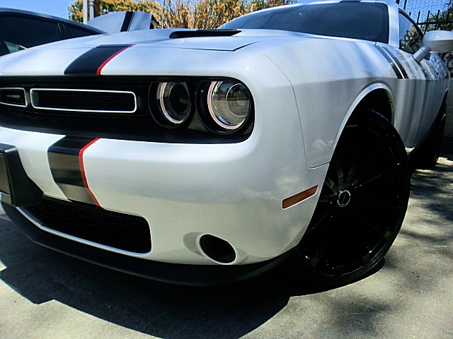15ChallengerWhite/1a22.JPG