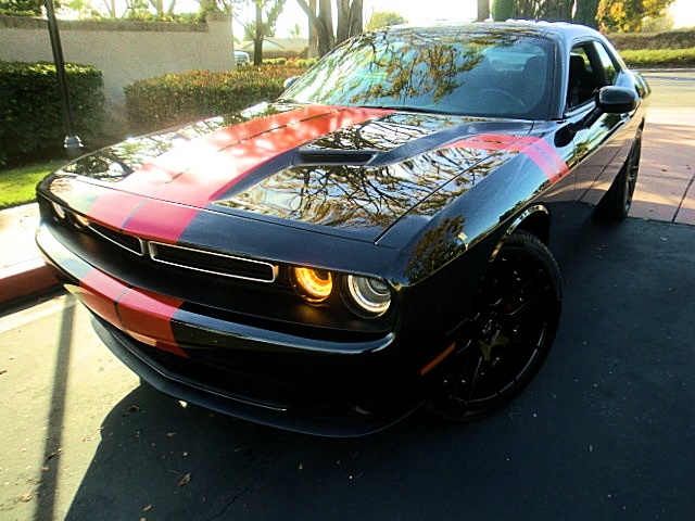15challengerBlK/20a82.JPG