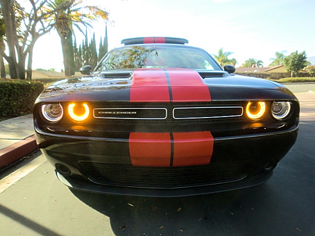 15challengerBlK/20a82.JPG