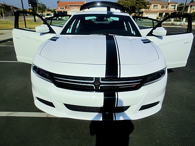 15chargerWhite/2aaaa91.JPG