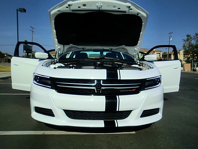 15chargerWhite/2aaaa91.JPG