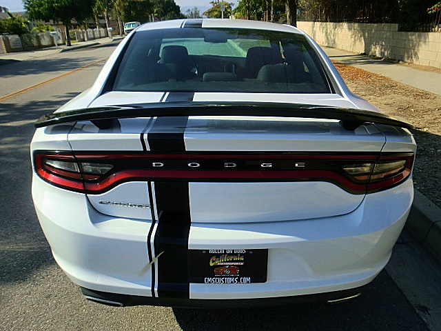 15chargerWhite/2aaaa91.JPG