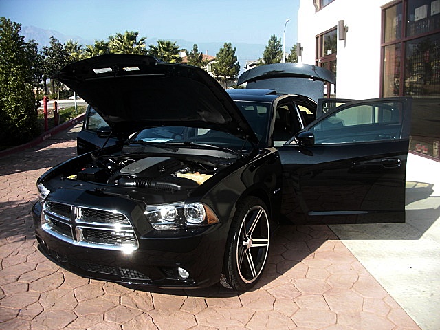 2011RTcharPXR/25c2.JPG
