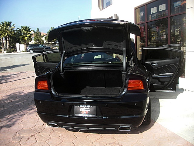 2011RTcharPXR/25c2.JPG