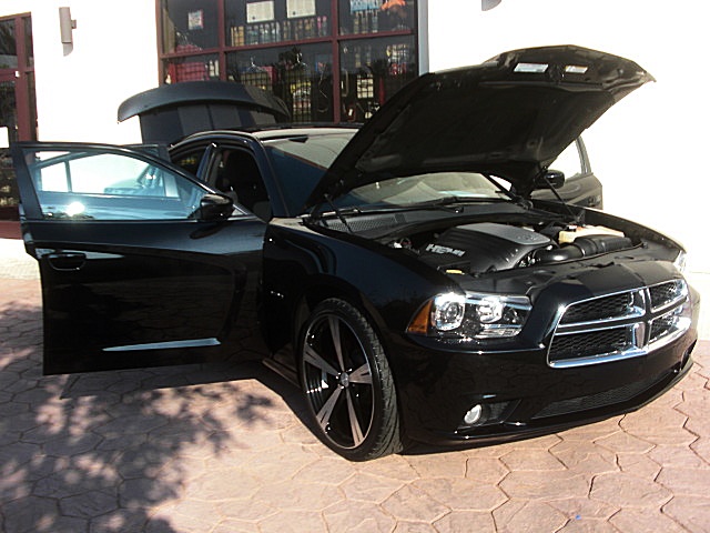 2011RTcharPXR/25c51.JPG