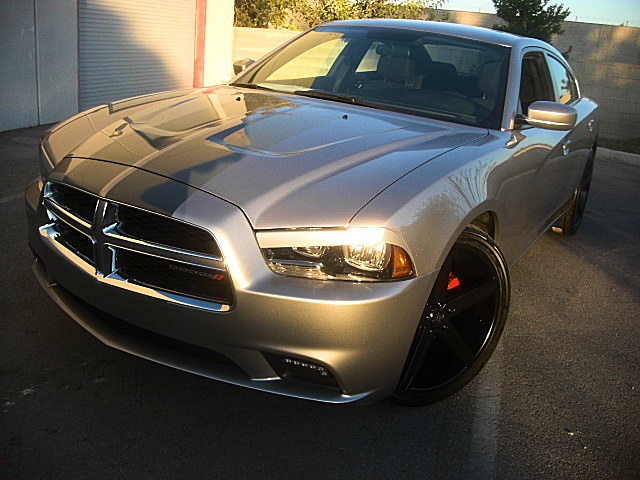 2011chargerBillGray/25x33.JPG