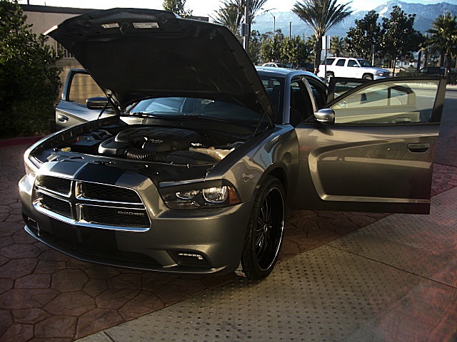 2011chargerGRAY/25g33.JPG