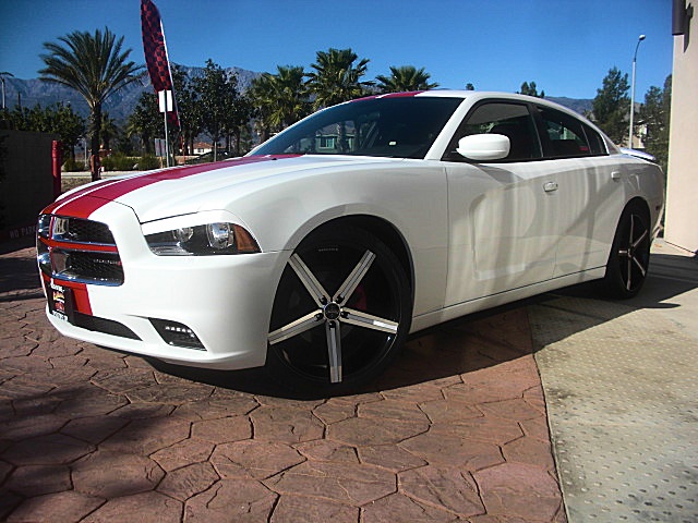 2011chargerWHITE/23a47.JPG