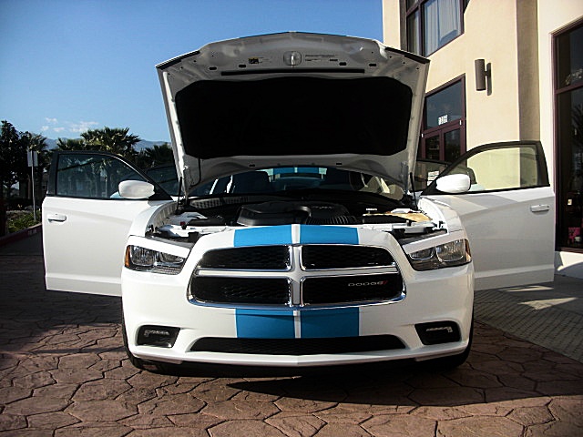 2011chargerWHITE/25e52.JPG