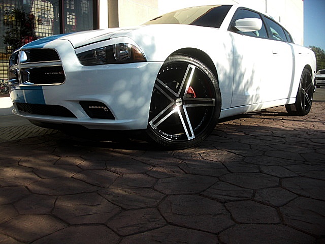 2011chargerWHITE/25e52.JPG