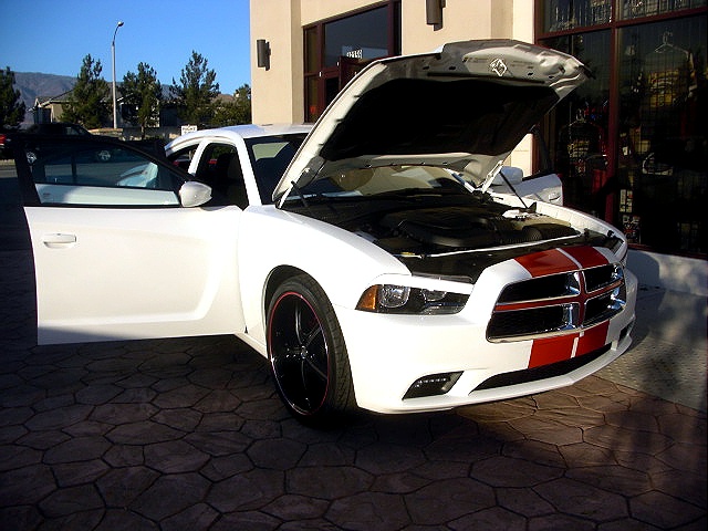 2011chargerWHITE/25kk48.jpg