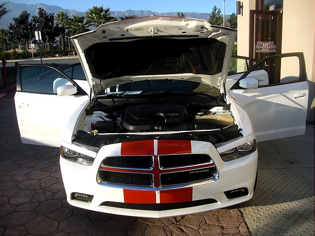 2011chargerWHITE/25kk48.jpg