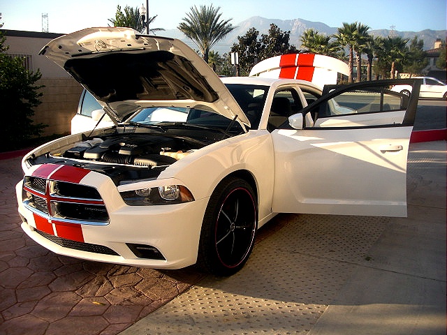 2011chargerWHITE/25kk48.jpg