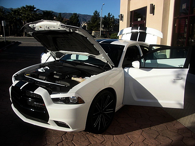 2011chargerWHITE/26a75.JPG