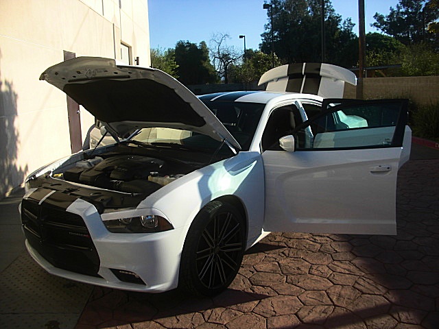 2011chargerWHITE/26a75.JPG