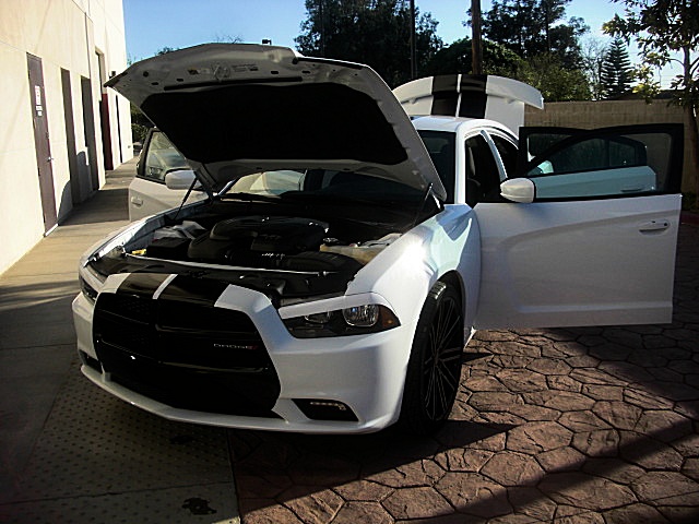 2011chargerWHITE/26a75.JPG