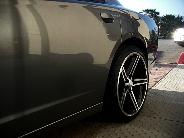 2012sxtGray/25a11.JPG