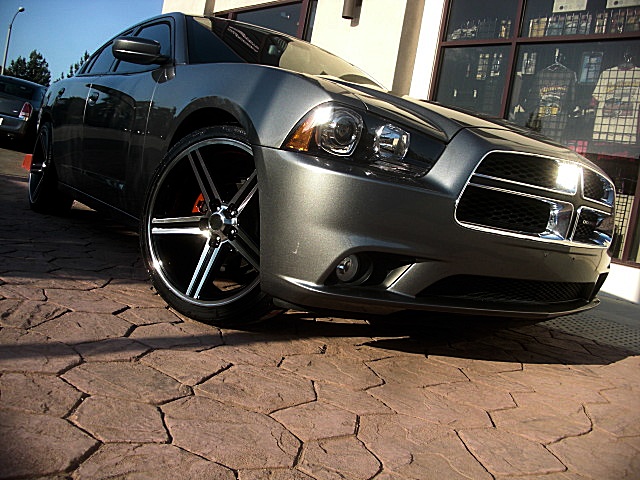 2012sxtGray/25a11.JPG
