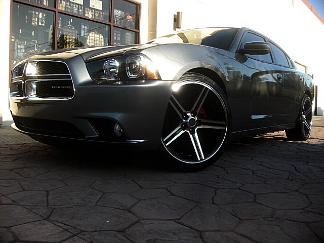 2012sxtGray/25a59.JPG