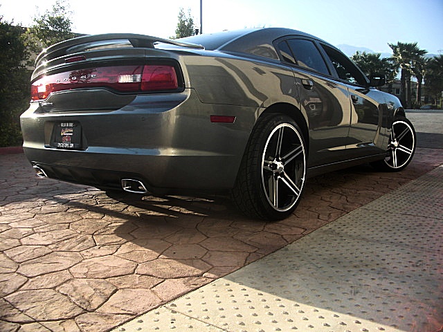 2012sxtGray/25a59.JPG