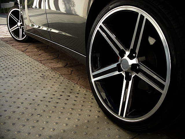 2012sxtGray/25a11.JPG