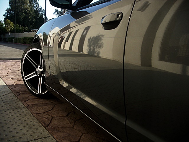 2012sxtGray/25a11.JPG