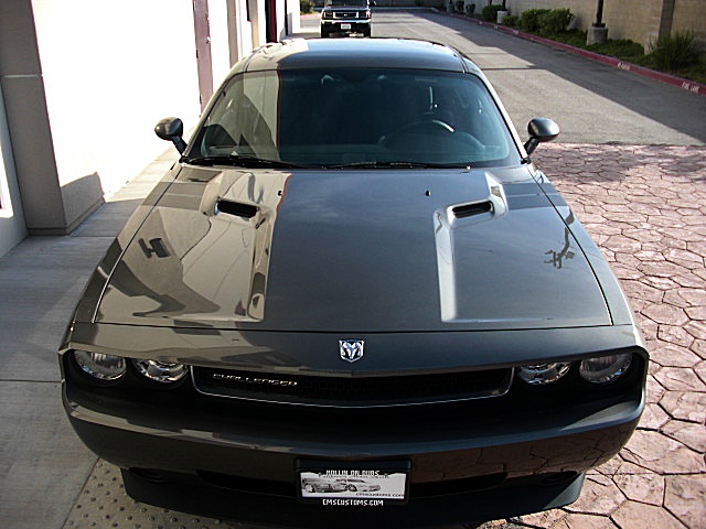 ChallengerPDT/stripes3.JPG