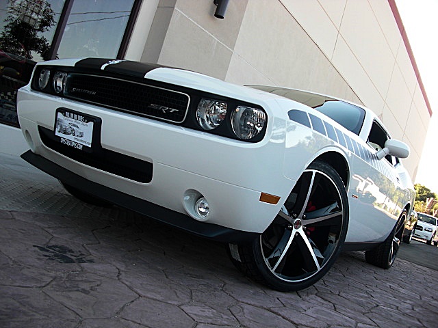 ChallengerSEwhite/1a5.jpg
