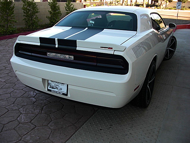 ChallengerSEwhite/1a5.jpg