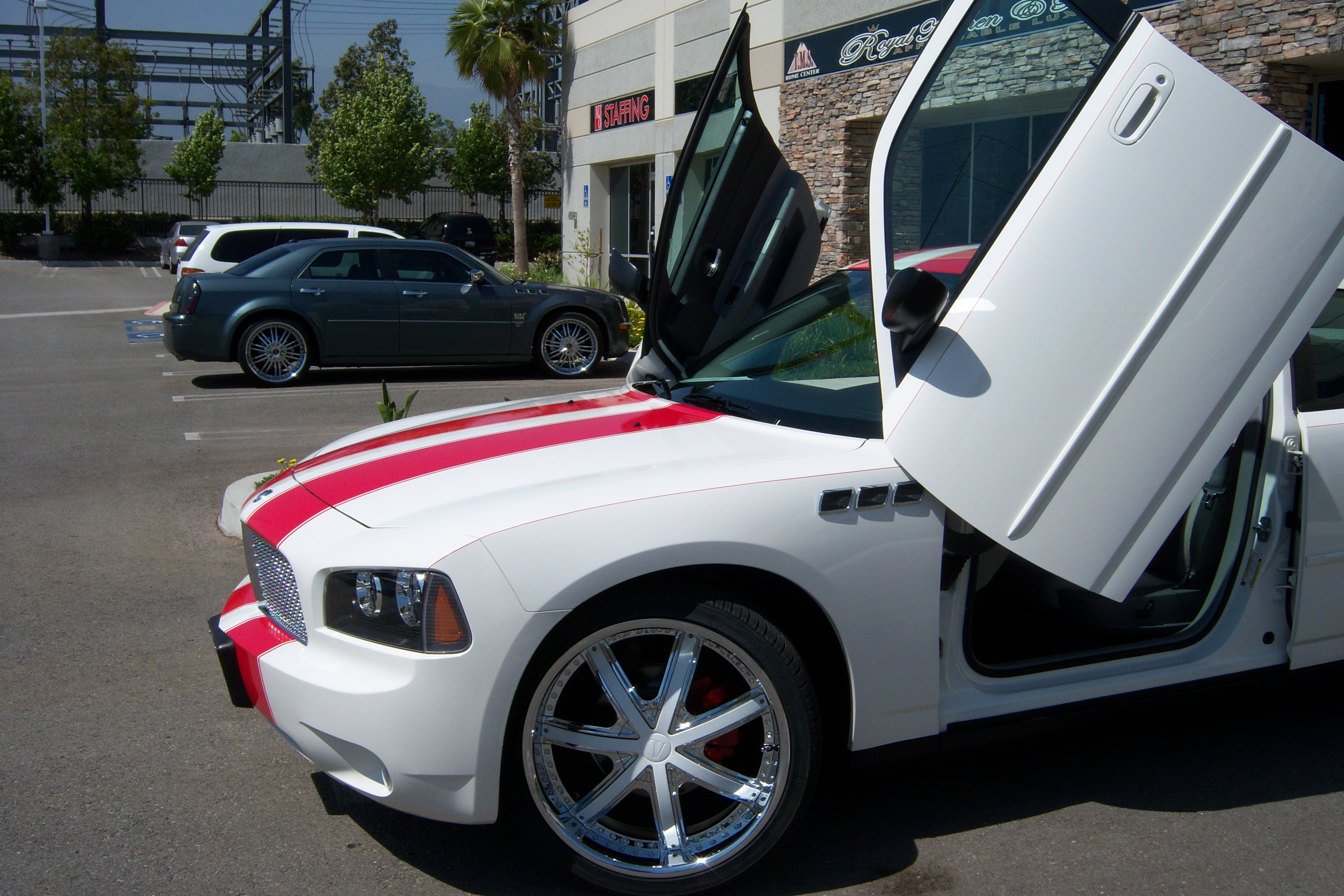 ChargerLamboWhite/lambo1a.jpg