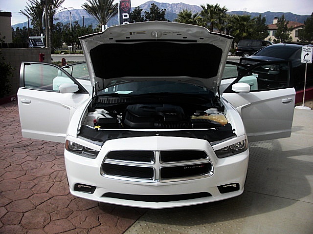 ChargerWhite2011/25s64.JPG