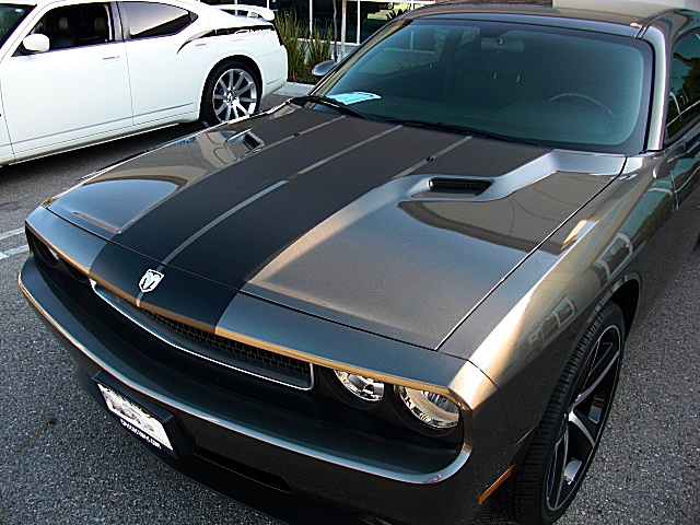 DECALS/DecalHoodChallenger1.JPG