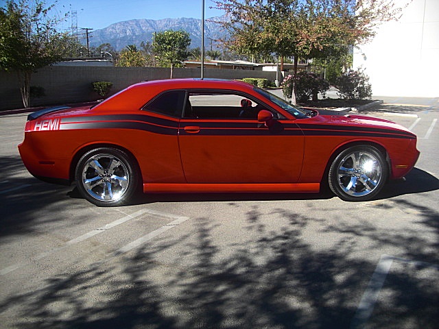DECALS/Stripe5.JPG