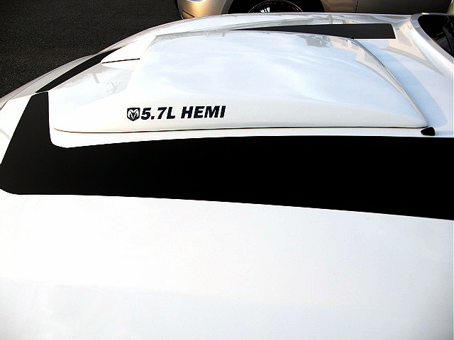 DECALS/d14.jpg