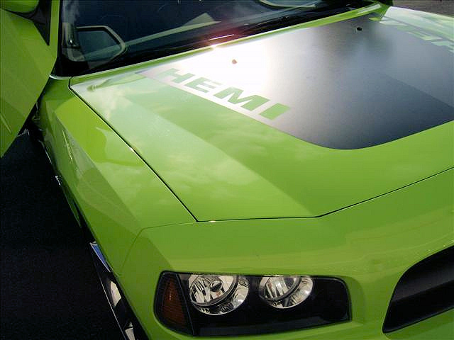DECALS/decal6.jpg