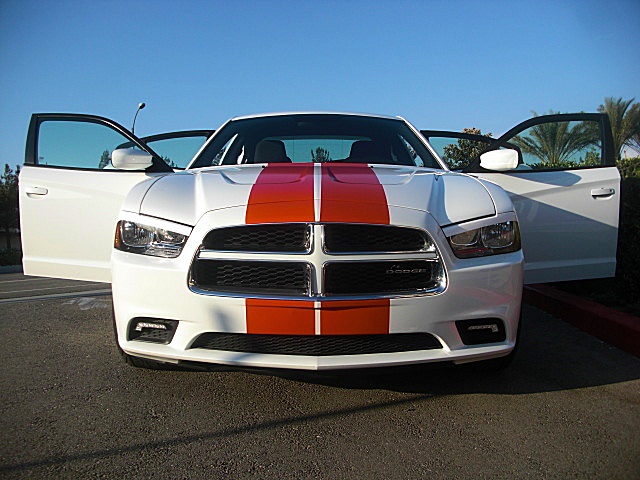 GraphicStripesCars/25a16.jpg