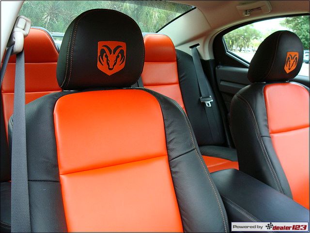 Interiors/Leath2toneSilv2.jpg