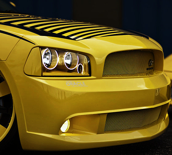 LOGOS/custom136a.jpg