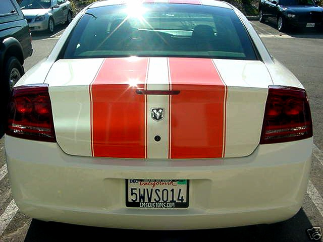 StripeCars/new19e.jpg