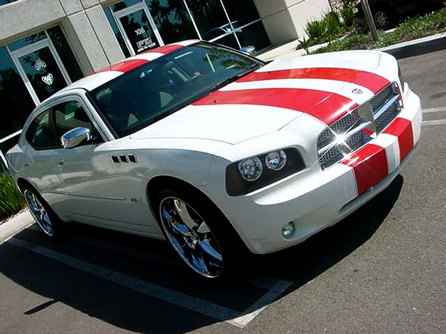 StripeCars/new1b.jpg