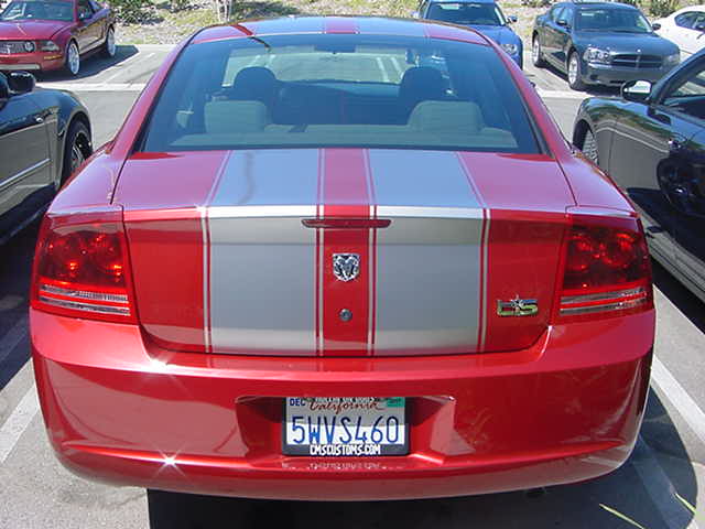 StripeCars/stripes44.jpg